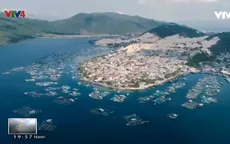 Khám phá biển xanh Sơn Đừng, Khánh Hòa