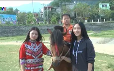 Sức hút trên đường đua vó ngựa cao nguyên trắng