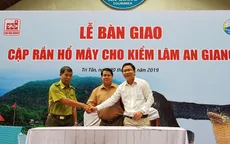 Thả cặp rắn hổ mang chúa “khủng” về thiên nhiên