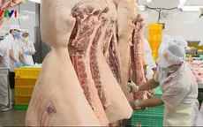 TP.HCM triển khai các biện pháp ứng phó dịch tả lợn châu Phi