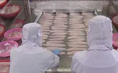 Tác động thị trường cá tra khi Mỹ tăng thuế chống bán phá giá