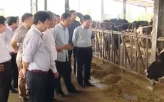 Việt Nam thúc đẩy các điều kiện xuất khẩu sữa chính ngạch
