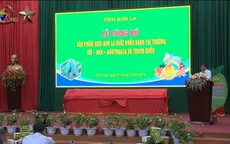 Công bố sản phẩm xoài Sơn La xuất khẩu năm 2019