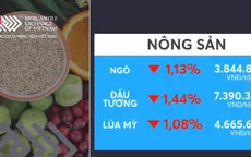 Thị trường hàng hóa phiên cuối tuần trước hầu hết giảm điểm