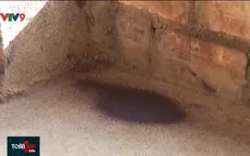 Bọ đậu đen tấn công nhà dân ở Phú Yên