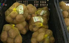 Lâm Đồng: Gỡ vướng cho gắn nhãn mác khoai tây Đà Lạt