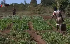 Hãy để trẻ em nuôi dưỡng ước mơ