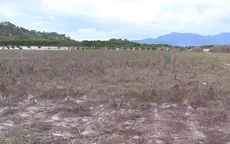 "Cánh đồng chết" do hạn hán