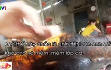 Kinh hãi công nghệ làm giả thịt lợn rừng