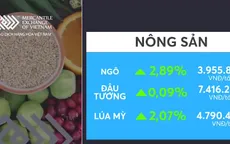Thị trường nông sản tăng điểm mạnh