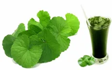 Một số tác dụng của rau má đối với sức khỏe