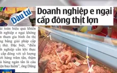 Doanh nghiệp sợ rủi ro khi tham gia cấp đông thịt lợn