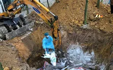 Lợn mắc bệnh tả châu Phi: Nên chôn hay thiêu?