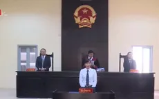 Hoãn phiên tòa phúc thẩm vụ kiện “Thần đồng đất Việt”