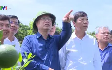 Nhân rộng mô hình nông thôn mới kiểu mẫu ở Lục Ngạn