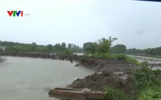 Sạt lở diễn ra ngày càng nghiêm trọng tại Cà Mau