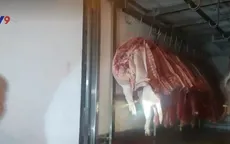 Lấy nhiều mẫu thịt lợn để giám sát dịch tả