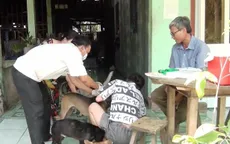 Cà Mau: Tăng đột biến số ca tử vong do bệnh dại