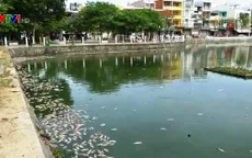 Cá chết hàng loạt trên hồ Thạc Gián, Đà Nẵng