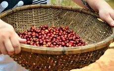Giá cà phê kỳ hạn tháng 7 trên sàn ICE giảm nhẹ