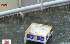 Phân hủy bùn - mấu chốt làm sạch sông Tô Lịch