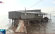 Sống liều trên đê lở ở ĐBSCL
