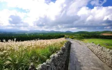 Khám phá 3 điều tuyệt vời nhất tại Jeju - Hàn Quốc vào mùa hè này
