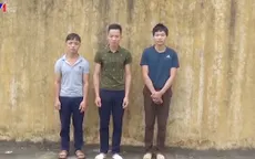 Khởi tố, bắt 3 đối tượng phá rừng tại Bắc Kạn