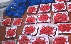 Giấu ma túy trong ghế ngồi xe khách từ Lào về Việt Nam tiêu thụ