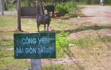 Thanh tra Chính phủ công bố sai phạm dự án Safari