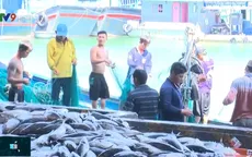 Khánh Hòa ngăn chặn khai thác bất hợp pháp từ chuỗi liên kết