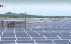 Ninh Thuận: Nhà máy điện mặt trời Thuận Nam 19 hòa lưới điện quốc gia