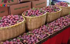 Mở rộng thị trường nông sản tại Sơn La