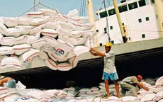 Xuất khẩu gạo sụt giảm trong những tháng đầu năm 2019
