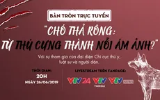 Bàn tròn trực tuyến: Chó thả rông - Từ thú cưng thành nỗi ám ảnh?