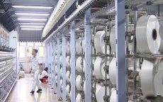 Phục hồi sản xuất nhà máy xơ sợi Đình Vũ