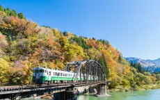 Sự hồi sinh kỳ diệu tại vùng đất thảm họa hạt nhân Fukushima, Nhật Bản