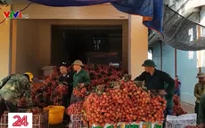 Tái diễn việc lùi cân vô lý trong thu mua vải thiều ở Lục Ngạn (Bắc Giang)