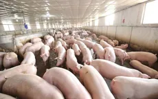 Nông nghiệp đối mặt nhiều thách thức khi thực thi EVFTA