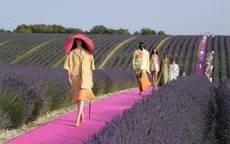 Xao xuyến trước sàn catwalk nằm giữa cánh đồng hoa oải hương