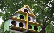 Chi tiền tỷ làm vườn thú cho con