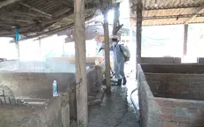 Đồng Tháp đề nghị hỗ trợ 58 tấn thuốc tiêu độc khử trùng dập dịch tả heo Châu Phi