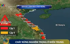 Nhiều tỉnh miền Trung đối mặt với cháy rừng nghiêm trọng