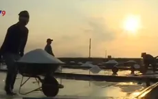 Khám phá vẻ đẹp cánh đồng muối Hòn Khói, tỉnh Khánh Hòa