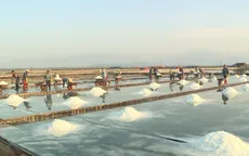 Khám phá cánh đồng muối Hòn Khói