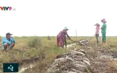 Kiên Giang: Xâm chiếm khu bảo tồn, tàn phá nơi ở của sếu đầu đỏ quý hiếm