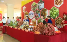 Sắp diễn ra tuần lễ vải thiều Lục Ngạn tại Thủ đô Hà Nội