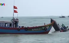 Mất an toàn giao thông ở luồng cảng Sa Kỳ