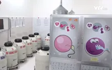 Bệnh viện lúng túng xử lý những phôi thai bị bỏ quên