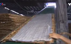 Ghé thăm làng nghề sản xuất hủ tiếu Mỹ Tho